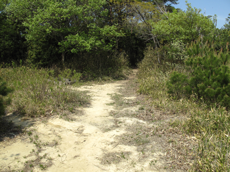 20140426hike (153)